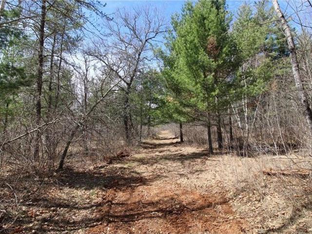 Land for sale in Emily, Minnesota
