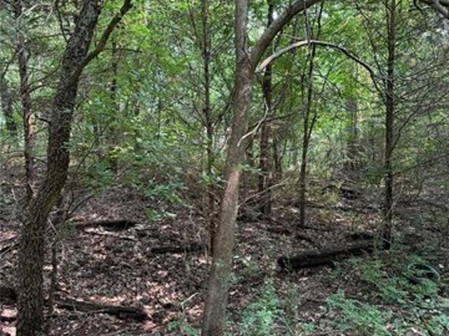 Land for sale in Pauls Valley, Oklahoma