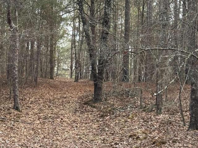 Land for sale in Lindale, Georgia
