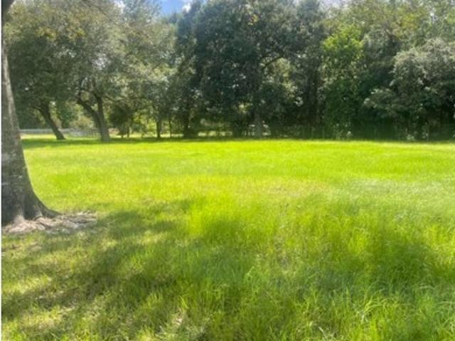 Land for sale in Alvin, Texas