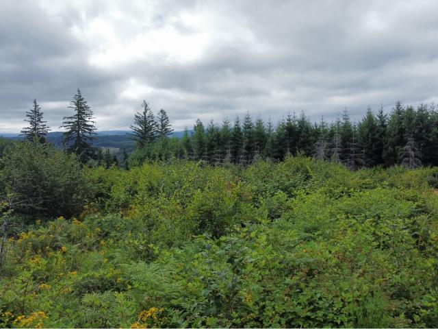 Land for sale in Estacada, Clackamas County