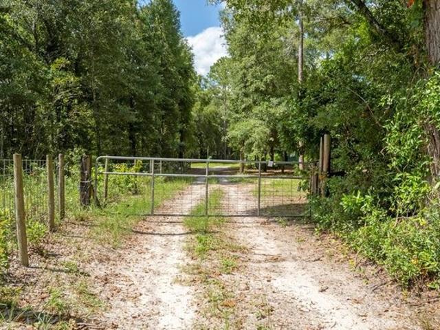 Land for sale in Bell, Florida