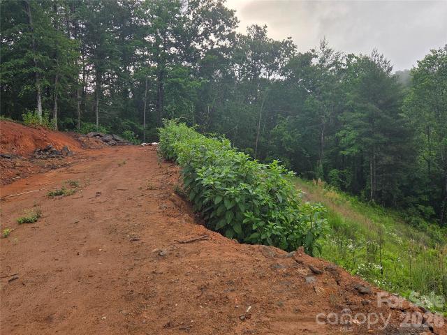 Land for sale in Mars Hill, North Carolina