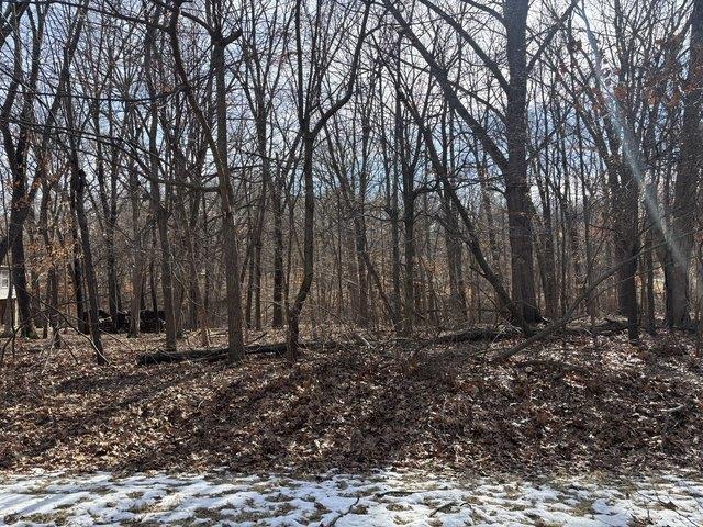 Land for sale in Marshall, Illinois