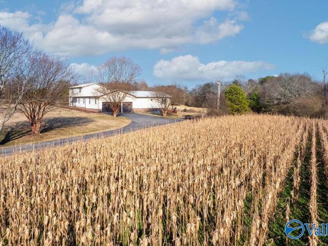 House for sale in Section, Alabama