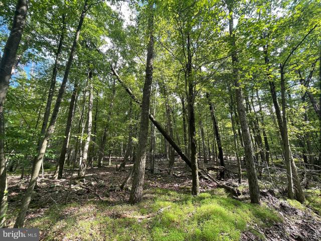 Land for sale in Oneida, Pennsylvania