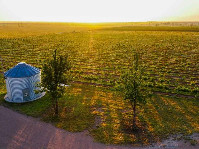 Farm for sale in Lynn, Texas