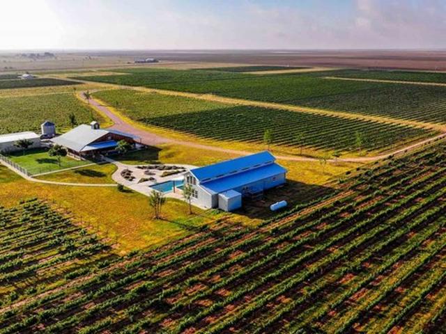 Farm for sale in Lynn, Texas