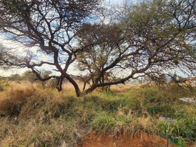 Land for sale in Limpopo
