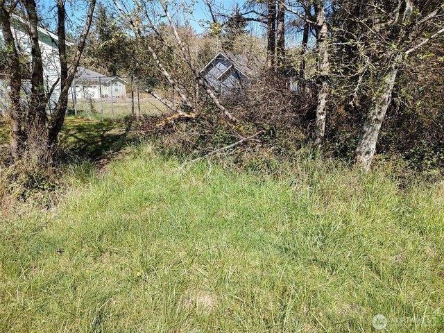 Land for sale in Ocean Shores, Washington