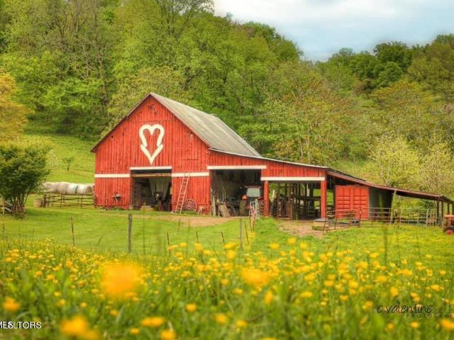 Commercial for sale in Tennessee