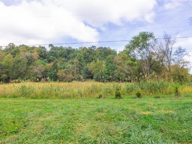Land for sale in Dexter City, Noble County