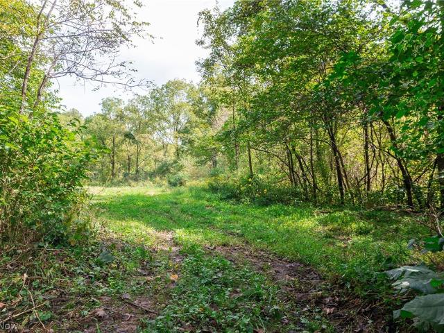 Land for sale in Dexter City, Noble County