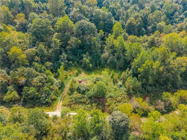 Land for sale in Dexter City, Noble County