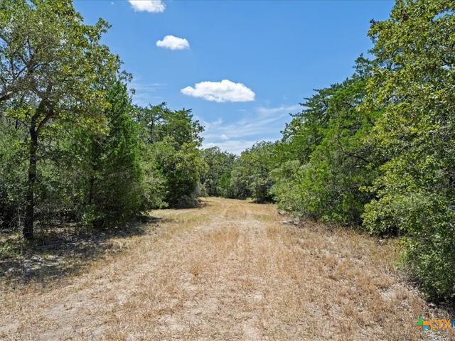 Land for sale in Flatonia, Texas