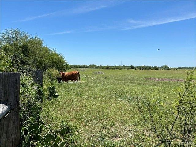 Land for sale in Lasara, Texas