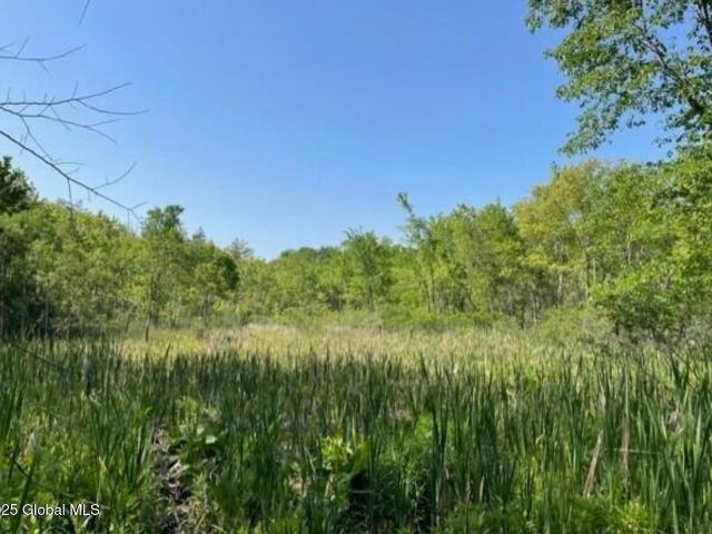 Land for sale in New York