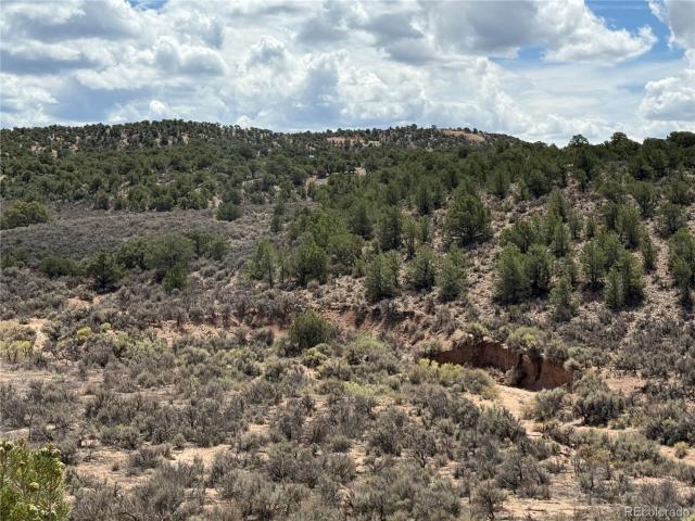 Land for sale in Fort Garland, Colorado