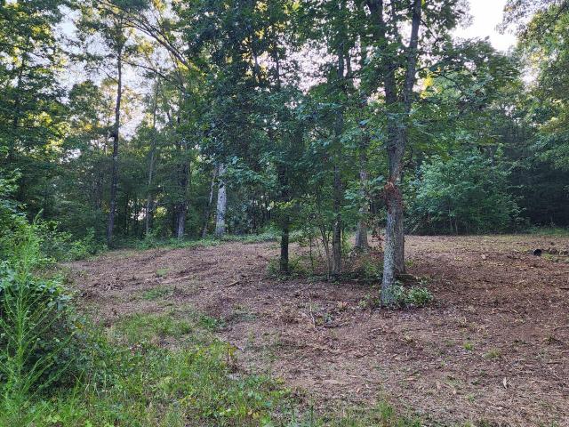 Land for sale in Tennessee