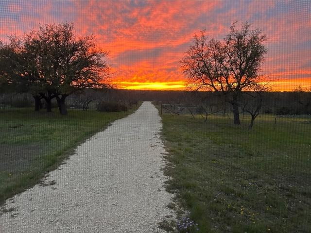 Land for sale in Menard, Texas