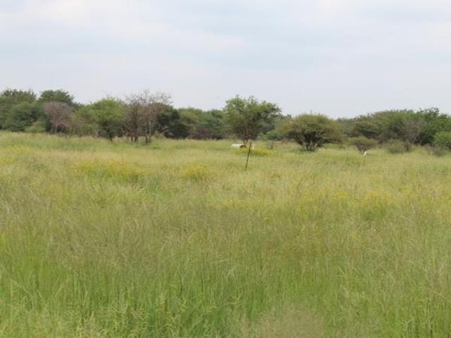 Land for sale in Limpopo