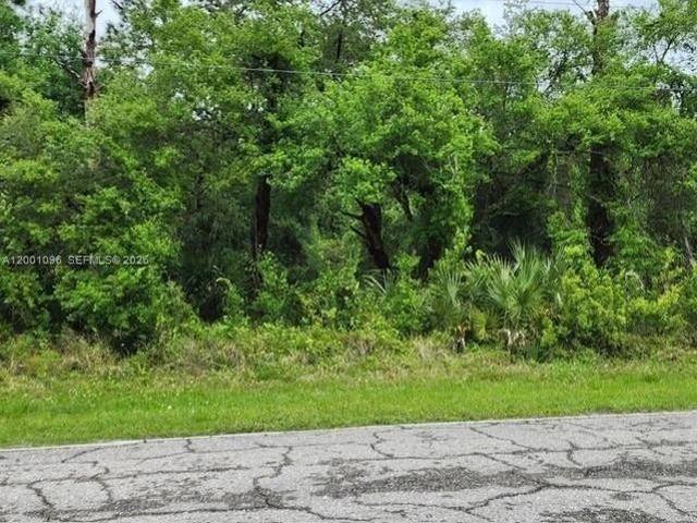 Land for sale in Clewiston, Florida