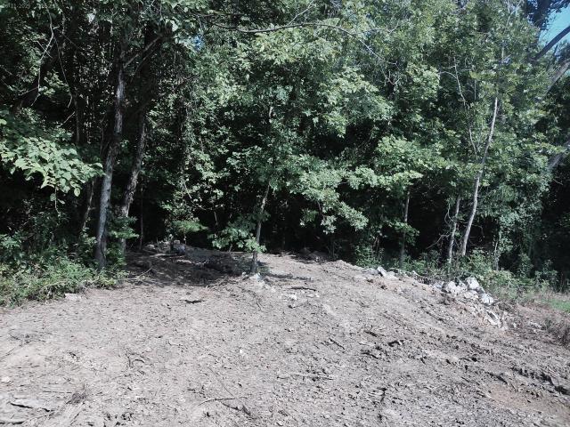 Land for sale in Williamstown, Kentucky