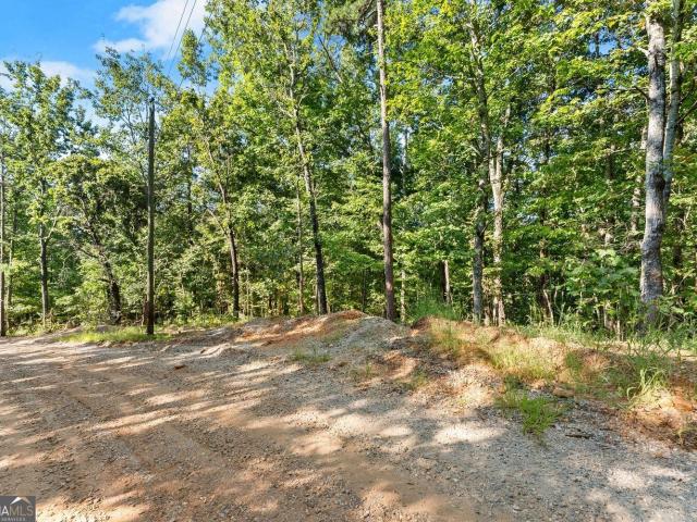 Land for sale in Clarkesville, Habersham County