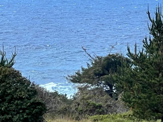 Property for sale in The Sea Ranch, California