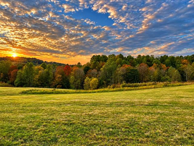 Farm for sale in Liberty, Casey County
