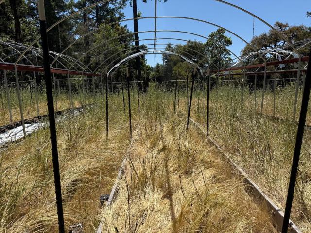 House for sale in Willits, California