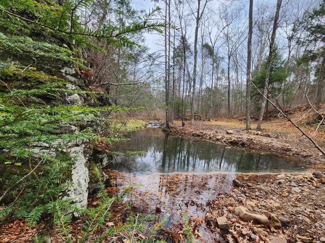 Land for sale in Virginia