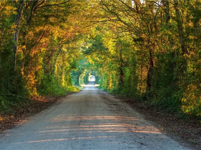 Land for sale in Normangee, Texas