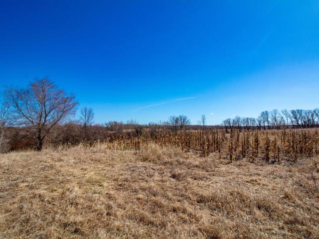 Land for sale in Dent, Minnesota
