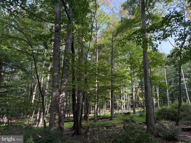 Land for sale in Zion Grove, Pennsylvania