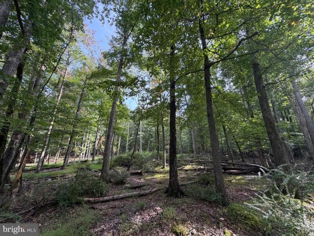 Land for sale in Oneida, Pennsylvania