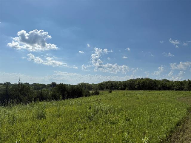 Land for sale in Melrose, Iowa