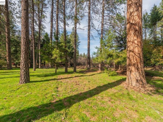 House for sale in Lewiston, California