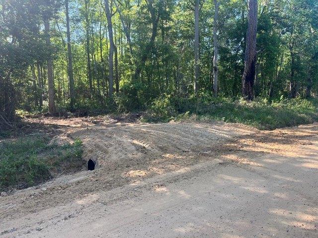Land for sale in Worth, Georgia