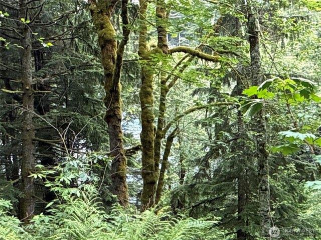Land for sale in Enumclaw, Washington