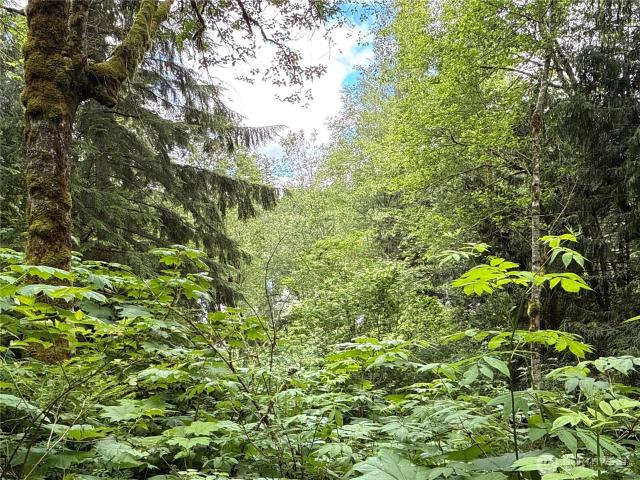 Land for sale in Enumclaw, Washington