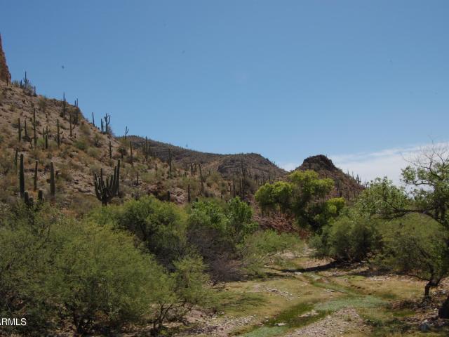 Land for sale in Arizona