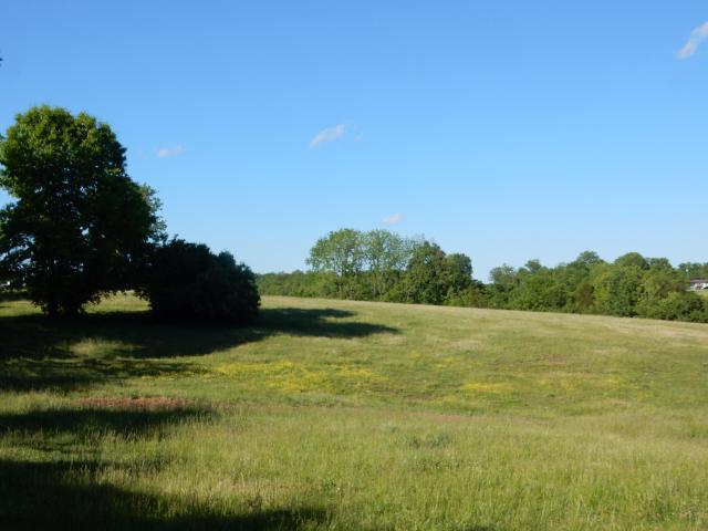 Land for sale in Versailles, Kentucky