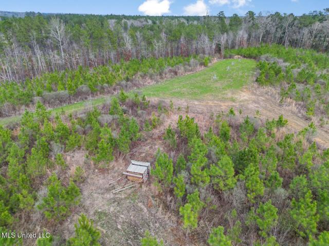 Land for sale in Wesson