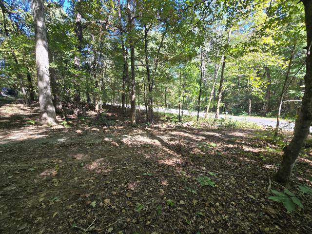 House for sale in Needmore, Princeton
