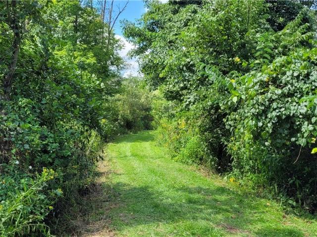 Land for sale in Scio, Ohio