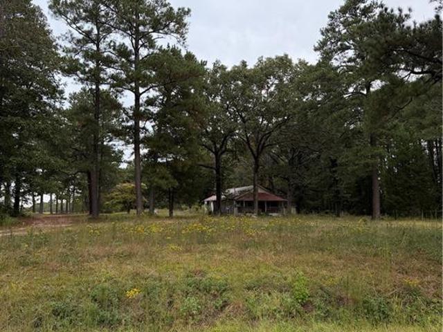 Land for sale in Lillington, Harnett County