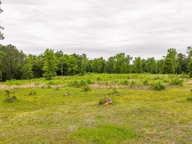Land for sale in Lincolnton, Georgia