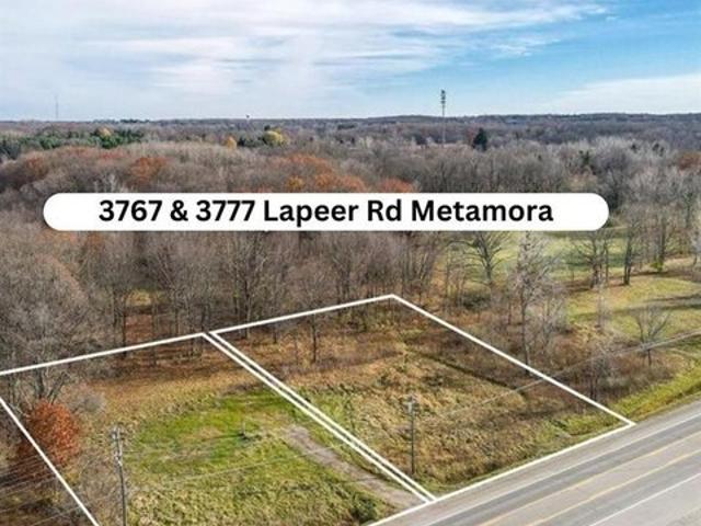 Land for sale in Metamora, Michigan
