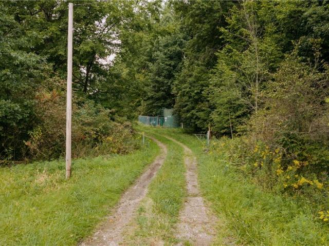 Land for sale in Diamond, Portage County
